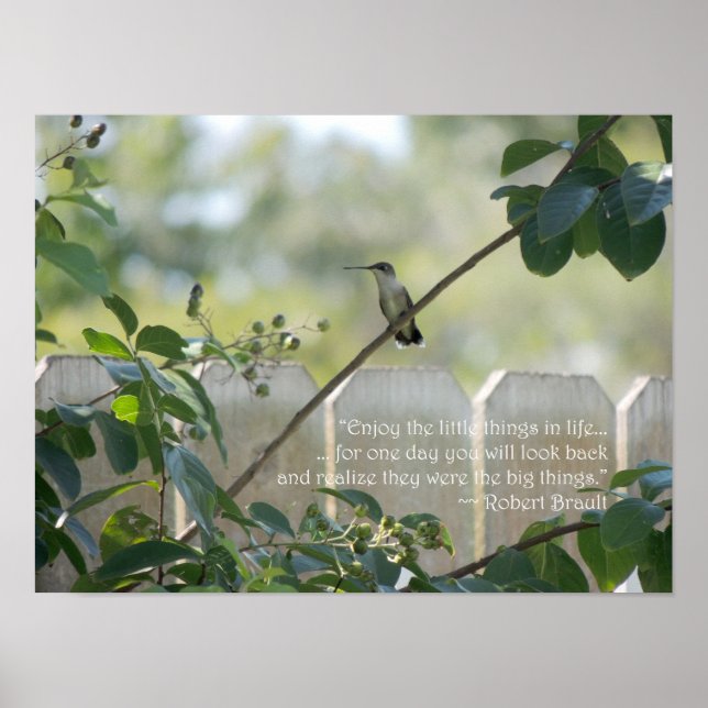 Hummingbird Poster with "Little Things" Quotation (Front)