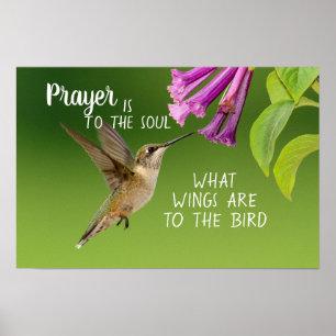 Hummingbird Prayer is to the Soul Poster