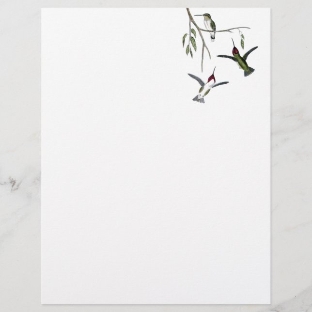 Hummingbird Recycled Letterhead (Front)