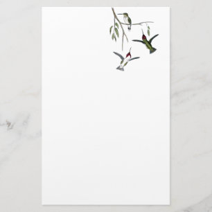 Hummingbird Recycled Stationery