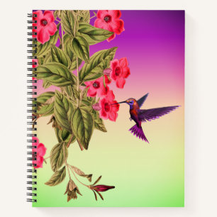 Hummingbird Red Flowers Gradient Background Notebook
