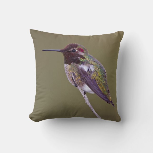 Hummingbird resting cushion (Front)