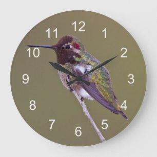 Hummingbird resting large clock