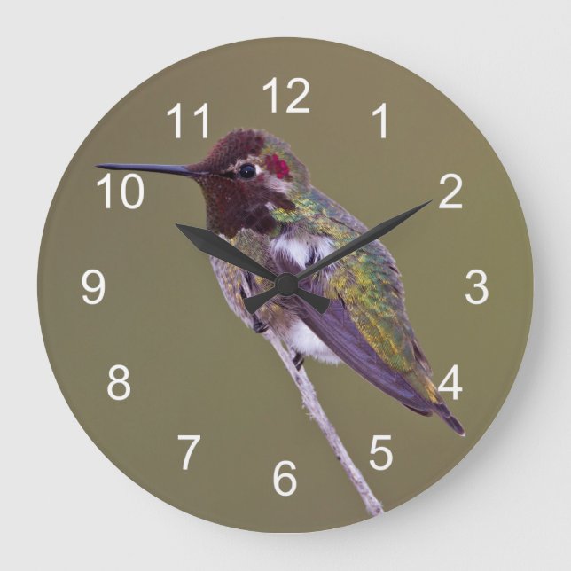 Hummingbird resting large clock (Front)