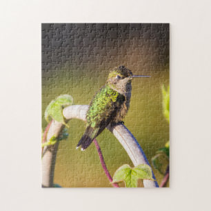 Hummingbird resting on a trellis  jigsaw puzzle