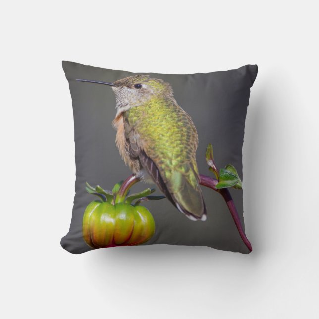 Hummingbird rests on flower bud cushion (Front)