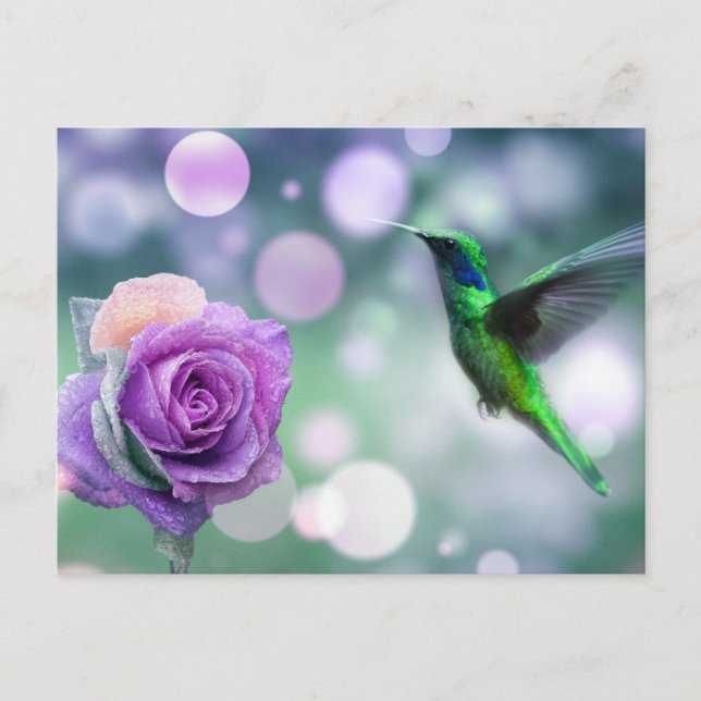 Hummingbird & Rose - Green & Pink  Postcard (Front)