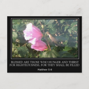 Hummingbird & Rose of Sharon Scripture Post Card