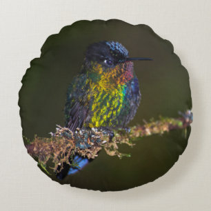 Hummingbird Round Cushion