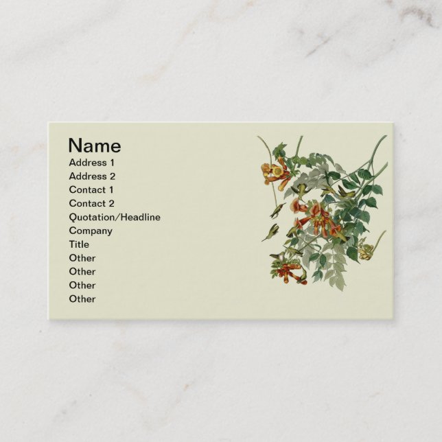 Hummingbird Ruby Throated Audubon Bird Business Card (Front)