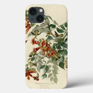 Hummingbird Ruby Throated Audubon Bird iPhone 13 Case