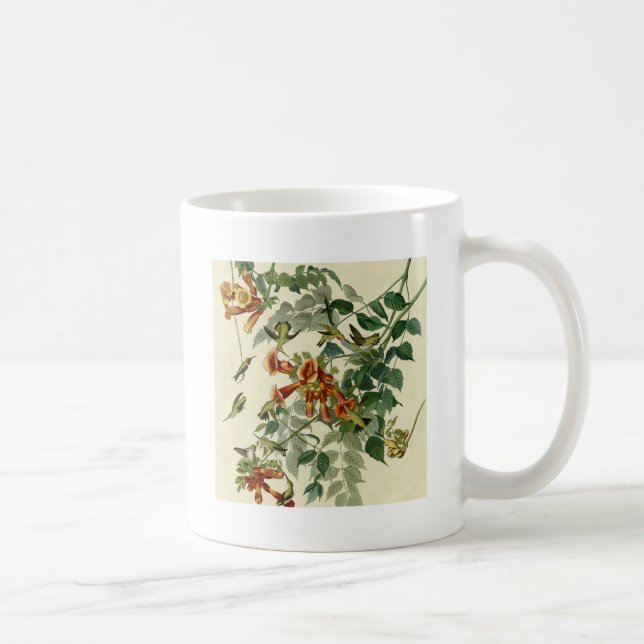 Hummingbird Ruby Throated Audubon Bird Coffee Mug (Right)