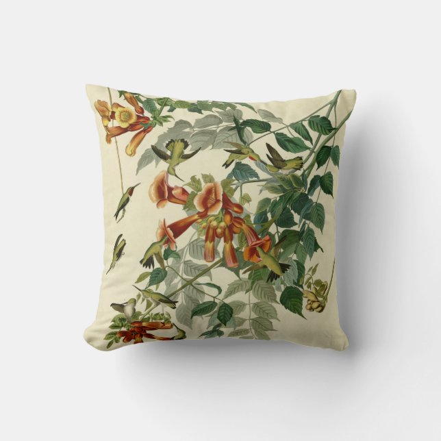 Hummingbird Ruby Throated Audubon Bird Cushion (Front)
