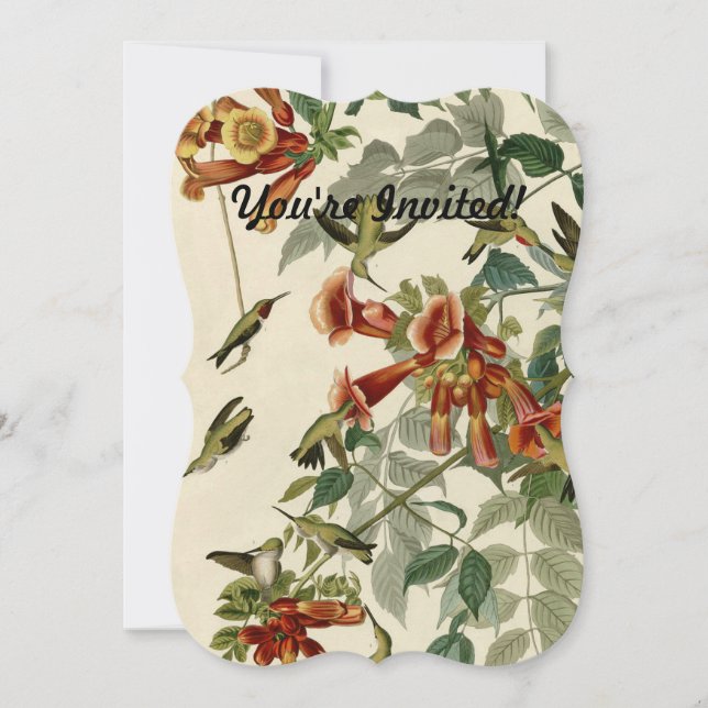 Hummingbird Ruby Throated Audubon Bird Invitation (Front)