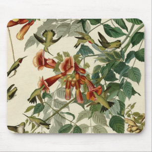Hummingbird Ruby Throated Audubon Bird Mouse Mat
