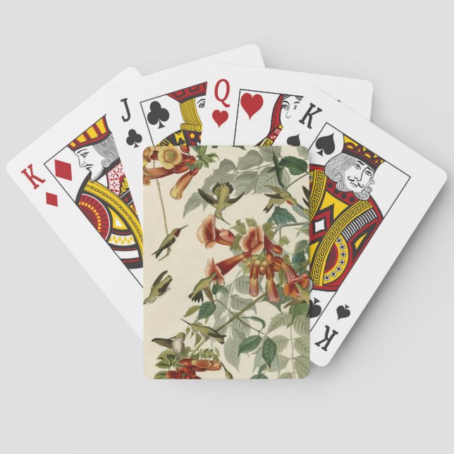 Hummingbird Ruby Throated Audubon Bird Playing Cards (Back)