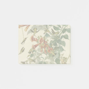 Hummingbird Ruby Throated Audubon Bird Post-it Notes