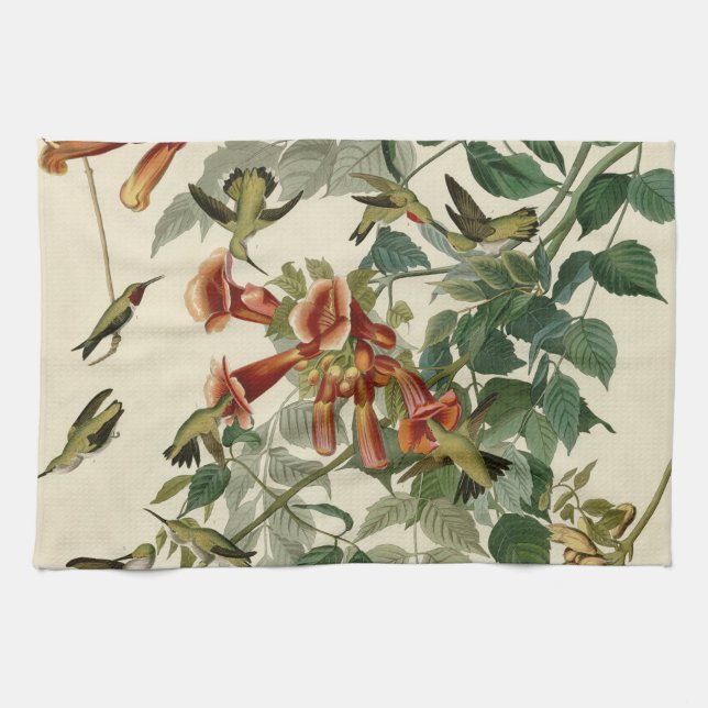 Hummingbird Ruby Throated Audubon Bird Tea Towel (Horizontal)