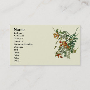 Hummingbird Ruby Throated Audubon Business Card