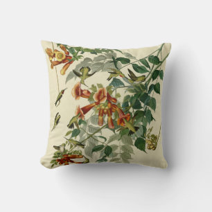 Hummingbird Ruby Throated Audubon Cushion