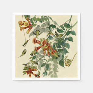 Hummingbird Ruby Throated Audubon Napkin