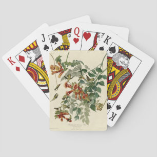 Hummingbird Ruby Throated Audubon Playing Cards