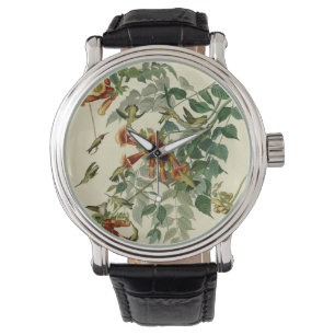 Hummingbird Ruby Throated Audubon Watch