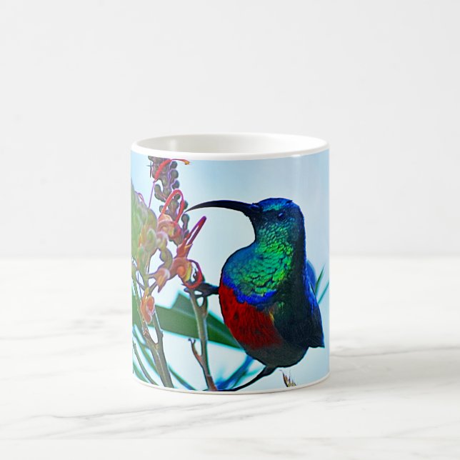Hummingbird ruby throated coffee mug (Center)
