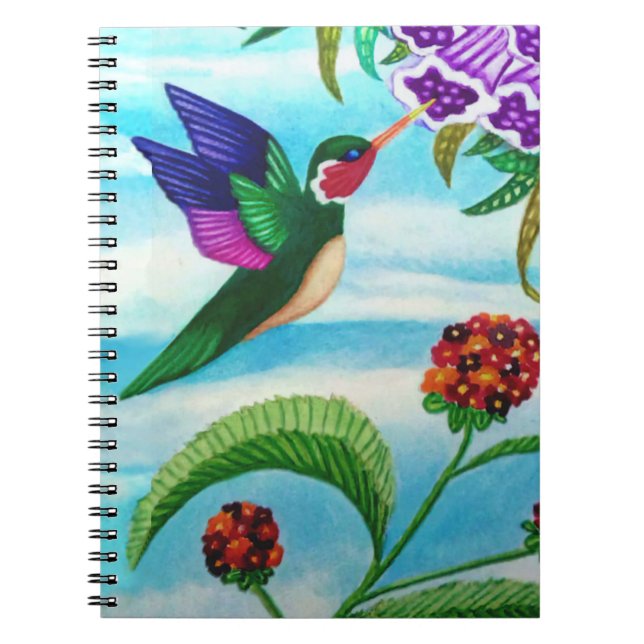 Hummingbird Skys Notebook (Front)