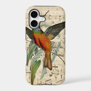 Hummingbird Song