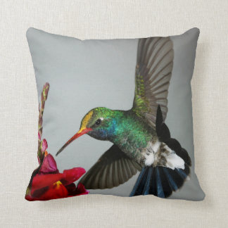 Hummingbird spring decor pillow