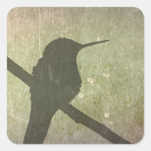 Hummingbird Square Sticker