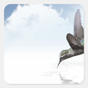 Hummingbird Square Sticker