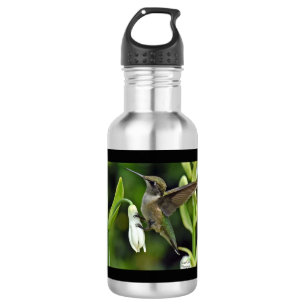 Hummingbird Stainless Steel Water Bottle