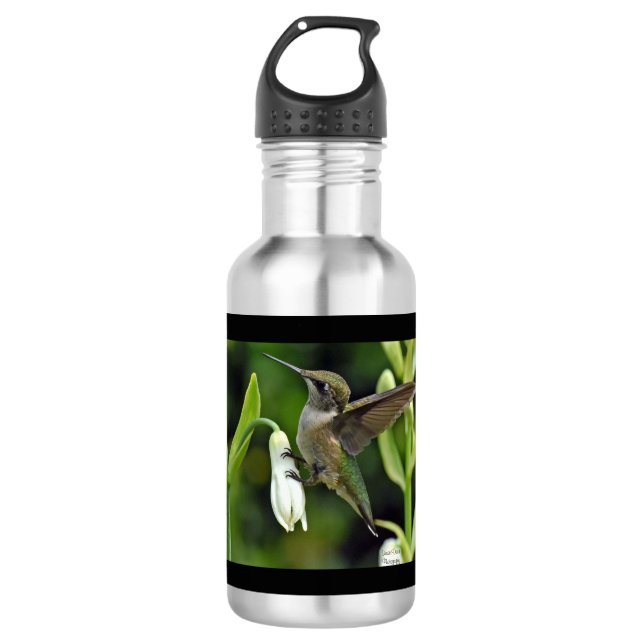 Hummingbird Stainless Steel Water Bottle (Front)