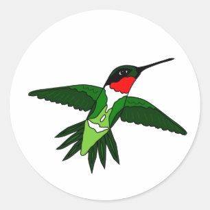 Hummingbird Sticker