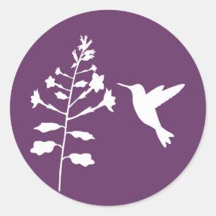 Hummingbird Sticker