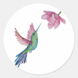 Hummingbird Sticker