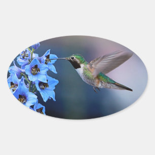 HUMMINGBIRD STICKERS
