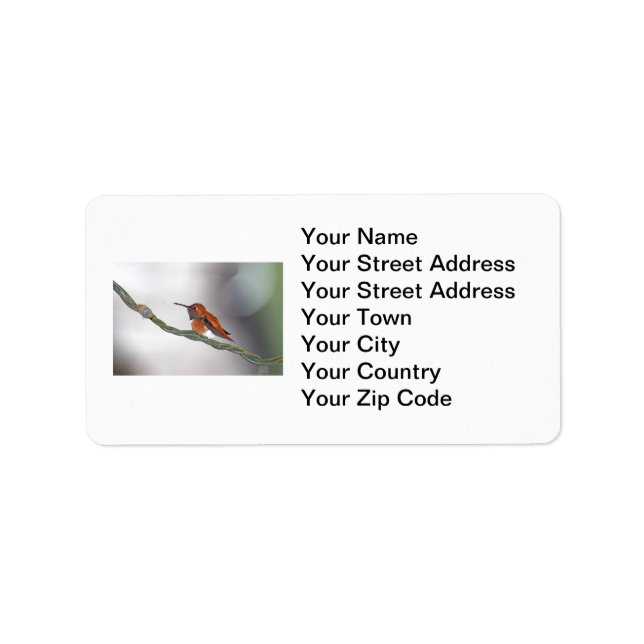 Hummingbird Sticking Out Tongue Label (Front)