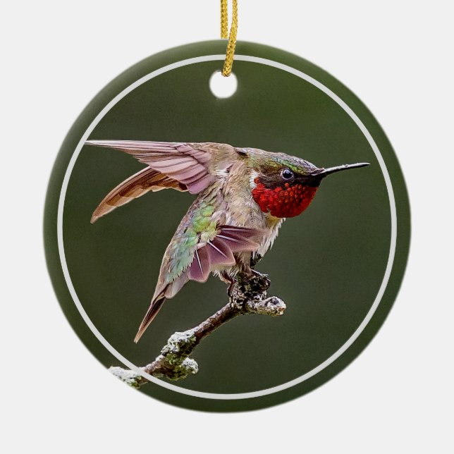 Hummingbird Stretches  Ceramic Tree Decoration (Front)