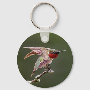 Hummingbird Stretches  Key Ring