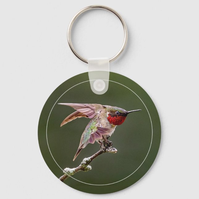 Hummingbird Stretches W/Border Key Ring (Front)