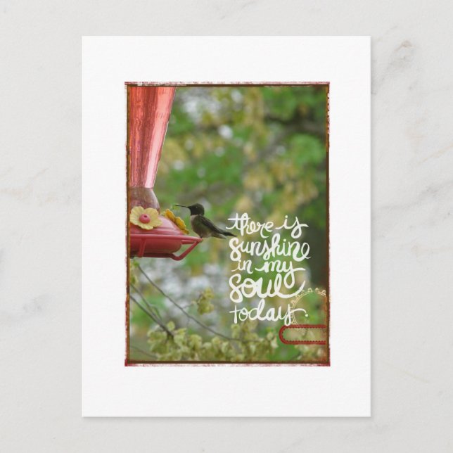Hummingbird Sunshine in my Soul Postcard (Front)