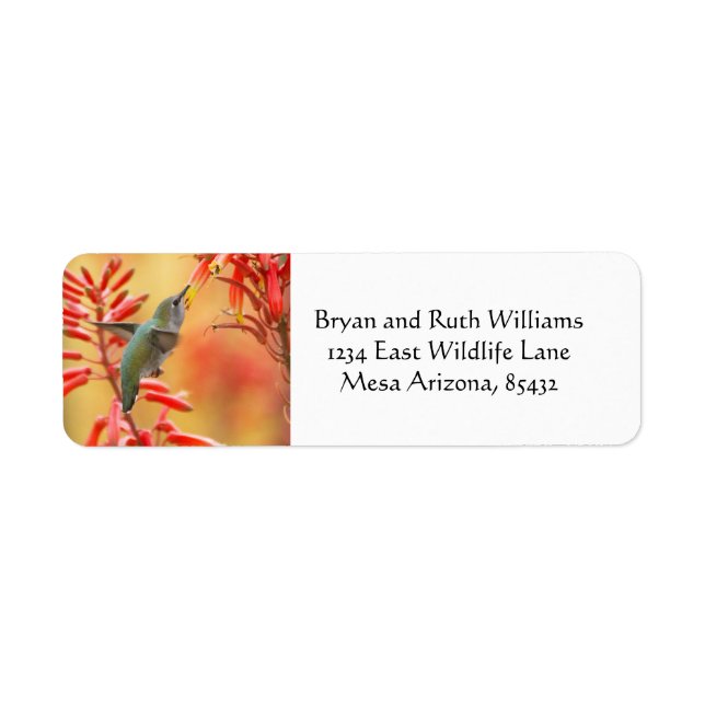 Hummingbird surrounded by red yucca (Front)