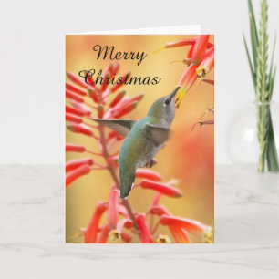 Hummingbird surrounded by yucca, Merry Christmas Holiday Card