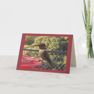Hummingbird Sympathy Card for Anyone