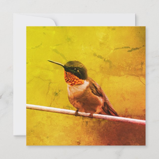 Hummingbird Thank You (Front)