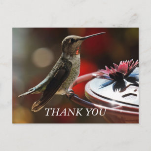 Hummingbird Thank You Card