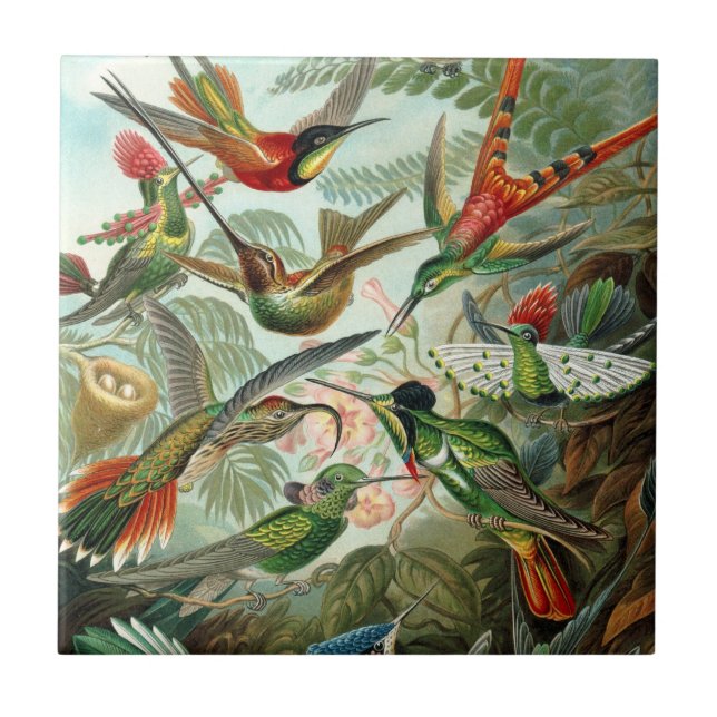 Hummingbird Tile (Front)